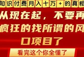 知识付费月入10个W的真相，做网创项目这一个就够了，不要再疯狂的找所谓的风口项目【揭秘】