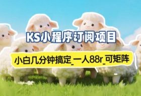小程序订阅项目_小白几分钟搞定，一人88米，可矩阵（已测到账）