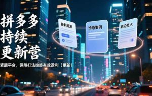 （16987期）拼多多持续更新营，最新玩法、诊断案例、前沿技术，紧跟平台，保障打法始终有效盈利（更新）