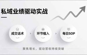 （16988期）私域业绩驱动实战，成交话术、环节植入、每日SOP，聚焦增长，驱动营收持续突破