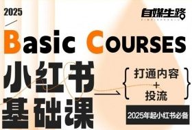 自媒生路小红书基础课，打通内容+投流，2025年起小红书必备