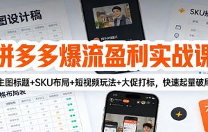 拼多多爆流盈利实战课：主图标题+SKU布局+短视频玩法+大促打标，快速起量破局