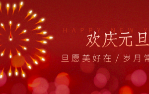 每年新年必火的红利项目,视频号祝福类视频玩法,多种变现月入万元!