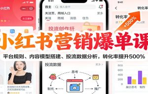 小红书营销爆单课：平台规则、内容模型搭建、投流数据分析，转化率提升500%