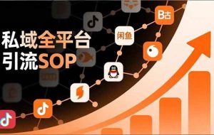 （16994期）私域全平台引流SOP，抖音/快手/小红书/微信/QQ/B站/闲鱼等，技术合集，高效转化公域流量