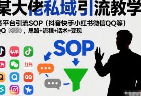某大佬私域引流教学,各平台引流SOP(抖音快手小红书微信QQ等),思路+流程+话术+变现