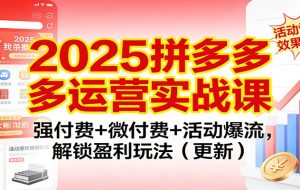 2025拼多多运营实战课：强付费+微付费+活动爆流，解锁盈利玩法（更新）