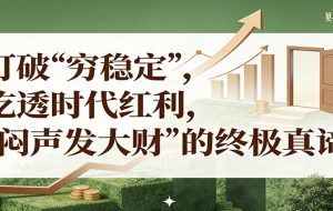 公众号付费文章《打破 “穷稳定”，吃透时代红利，“闷声发大财”的终极真谛》