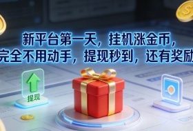 新平台第一天，挂G涨金币，完全不用动手，提现秒到，还有奖励【揭秘】