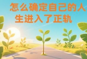 某公众号付费文章：怎么确定自己的人生进入了正轨？