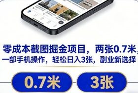 零成本截图掘金项目,两张0.7米,一部手机操作,轻松日入3张,副业新选择【揭秘】
