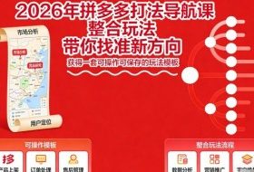 2026年拼多多打法导航课,整合玩法,带你找准新方向,获得一套可操作可保存的玩法模板