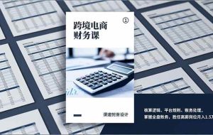 （17036期）跨境电商财务课，核算逻辑、平台规则、账务处理，掌握全盘账务，胜任高薪岗位月入1.5万+