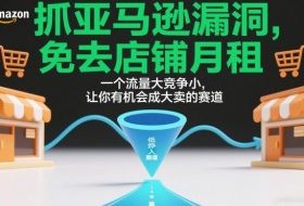 抓亚马逊漏洞，免去店铺月租，一个流量大竞争小，让你有机会成大卖的赛道