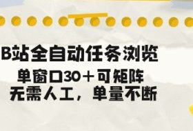 B站全自动任务浏览,单窗口30+可矩阵操作,无需人工单量不断【揭秘】