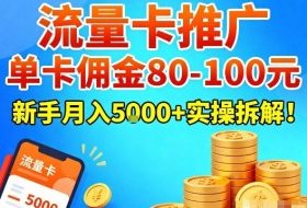 流量卡推广，单卡佣金80-100，新手月入5k+实操拆解！