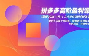 （17072期）拼多多高阶盈利课(更新2026-1月)：从市场分析到诊断优化、微付费与强付费策略，掌握系统运营