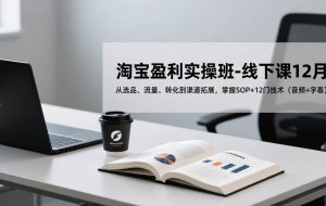 （17079期）淘宝盈利实操班-线下课12月，从选品、流量、转化到渠道拓展，掌握SOP+12门技术（音频+字幕）