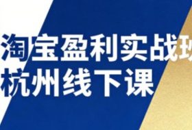 淘宝盈利实战班杭州线下课12月26-28日（音频+字幕），帮你掌握SOP流程+12门核心技术
