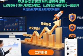 亚马逊卖家运营与利润提升课程，让你的每个SKU都成为爆款，让你的亚马逊利润一路飙升（更新12月）