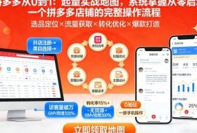 拼多多从0到1：起量实战地图，系统掌握从零启动一个拼多多店铺的完整操作流程