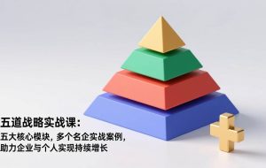 （17095期）五道战略实战课：五大核心模块，多个名企实战案例，助力企业与个人实现持续增长