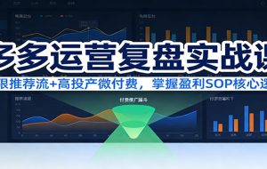 多多运营复盘实战课：无限推荐流+高投产微付费，掌握盈利SOP核心逻辑（更新）
