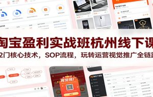 淘宝盈利实战班杭州线下课：12门核心技术，SOP 流程，玩转运营视觉推广全链路