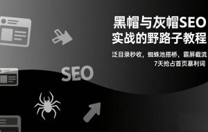 （17125期）黑帽与灰帽SEO实战的野路子教程：泛目录秒收，蜘蛛池搭桥，霸屏截流，7天抢占首页暴利词