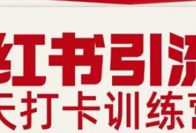 小红书引流21天打卡训练营第二期，助你快速打通小红书私域引流打粉