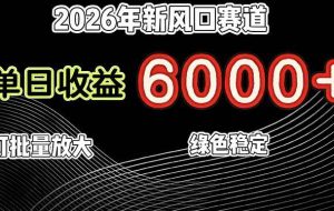 （17135期）2026年新风口赛道，当日6000+以上，可批量放大，月收入20万+，长期绿色稳定的项目