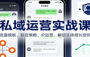 私域运营实战课：流量模板、裂变策略、 IP运营，解锁实体增长密码