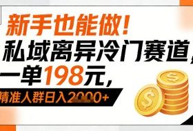 新手也能做！私域离异冷门赛道，一单198，精准人群日入1k+