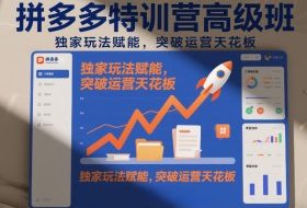 拼多多特训营高阶班，独家玩法赋能，突破运营天花板（更新26年1月）