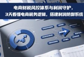 电商财税风控体系与利润守护，3天看懂电商税务逻辑，搭建利润防御系统