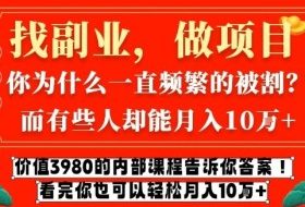价值3980的网创内部课程，告诉你互联网创业月入10个W的秘密【揭秘】