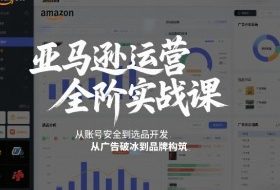 亚马逊运营全阶实战课，从账号安全到选品开发，从广告破冰到品牌构筑（更新2026）