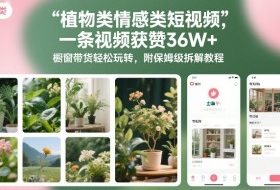 植物类情感类短视频，一条视频获赞36W+，橱窗带货轻松玩转，附保姆级拆解教程