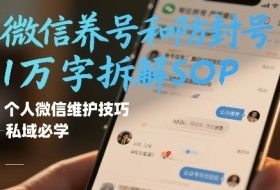 微信养号和防封号1万字拆解SOP，个人微信维护技巧，私域必学【文档】