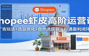 Shopee虾皮高阶运营课：广告玩法+选品优化+自然流获取，打通盈利闭环