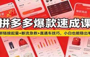 拼多多爆款速成课：新链接起量+断流急救+直通车技巧，小白也能稳出单