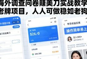 海外调查问卷賺美刀实战教学，老牌项目，人人可做稳如老狗