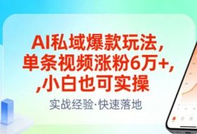 AI私域爆款玩法，单条视频涨粉6W+，小白也可实操