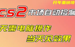 CS2市场挂机项，无需电脑操作，无需进入游戏，当天见效果，支持任何形式验证