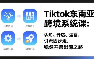 （17243期）TikTok东南亚跨境系统课：认知、开店、运营、引流四步走，稳健开启出海之路