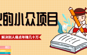 一直都很火的小众项目，抓住应届生求职痛点，这个小众项目年入几十万的底层逻辑