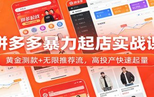 拼多多暴力起店实战课：黄金测款+无限推荐流，高投产快速起量