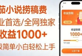 全网独家！番茄小说捞稿费，日收益1k+，副业必看，小白易上手，超级简单【揭秘】