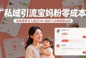 私域引流宝妈粉零成本流程简单月入超过1W+适合小白想做副业的
