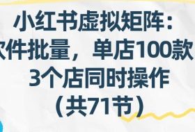 小红书虚拟矩阵：软件批量发笔记，单店100款，3个店同时操作（共71节）